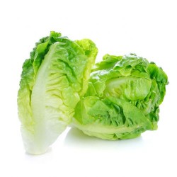 SALADE SUCRINE LA BARQUETTE