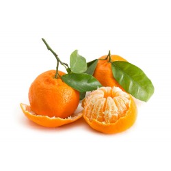 CLEMENTINE FEUILLE LE KILO
