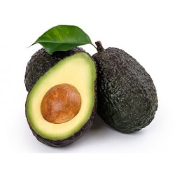 AVOCAT MOYEN CAL  16
