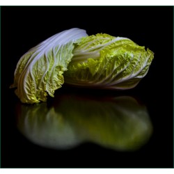 CHOUX CHINOIS LA PIÈCE