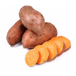 PATATE DOUCE LE KILO